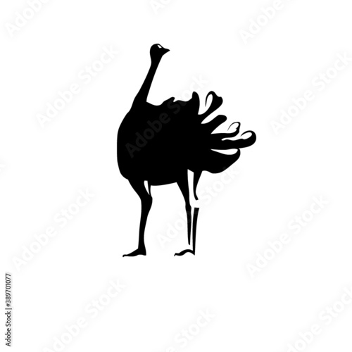 logo or label for ostrich farm and zoo. logo with ostrich. Vector logo.