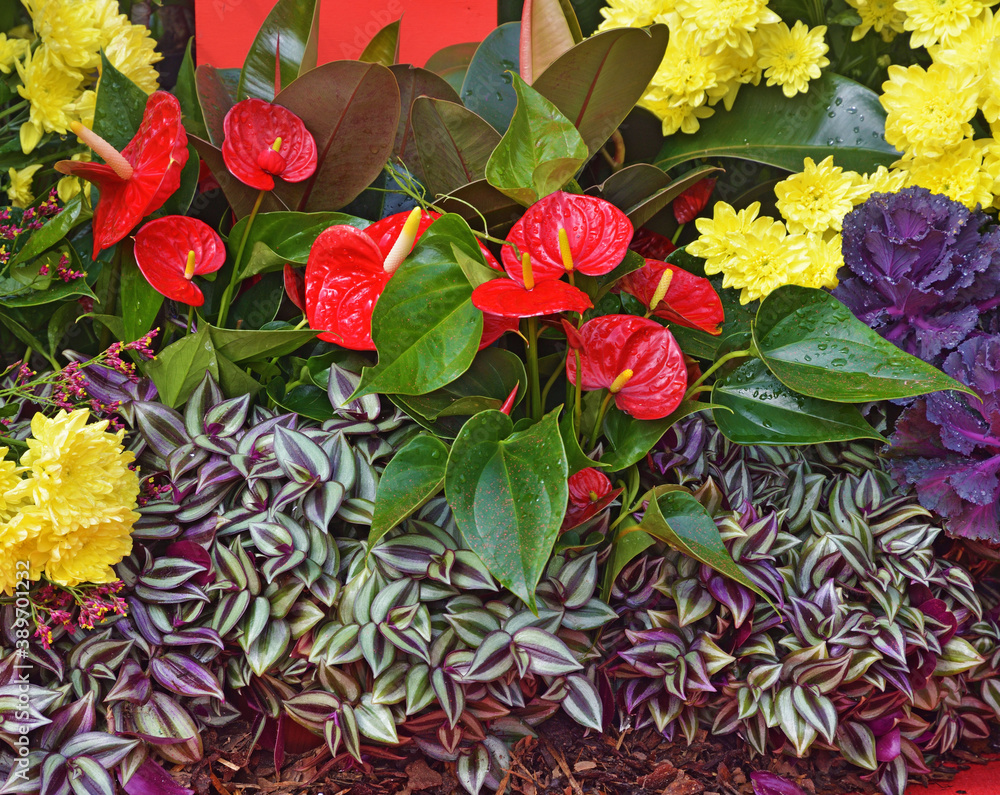 A beautiful bouquet of decorative flowers.
