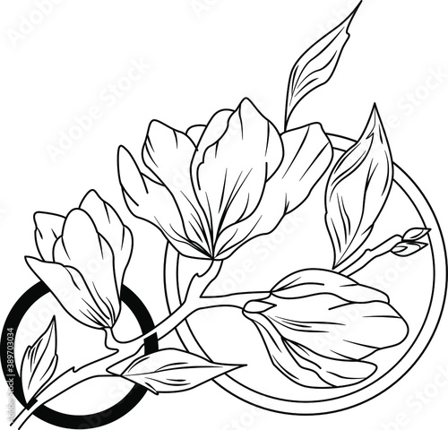 Summer flowers.Vector illustration.Hand drawn vector isolated.Black outline of magic herbs.Witchcraft aesthetic tools.Floral abstract sketch drawing. Elegant simple tattoo design,Organic botanical 
