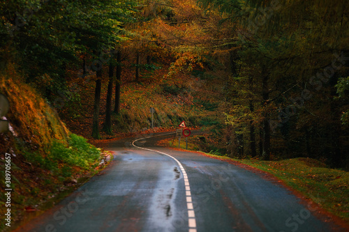 Road through the basque forest at Aiako Harriak natural park.