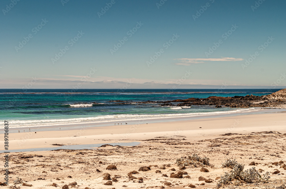 Volunteer Beach, Falkland Islands, UK - December 15, 2008: Wide view over beige sand with brown knobs in front of white surf on azure ocean and black rocks in water under light blue cloudscape. Volunteer Beach, Falkland Islands, UK - December 15, 2008: Wide view over beige sand with brown knobs in front of white surf on azure ocean and black rocks in water under light blue cloudscape.