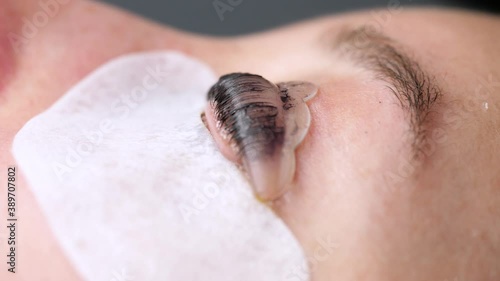 Eyelash Extension Procedure. Woman Eye with Long Eyelashes. 