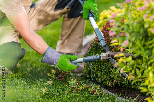 Foto Spring Time Garden Plants Trimming Maintenance