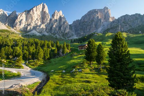 road in dolomites, trees and mountains in background, summer holiday in italy