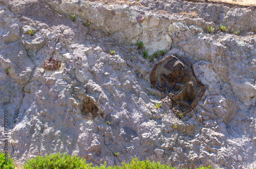 Famous petrified forest on Lesbos island  Greece