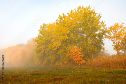 Bunte Bäume im Nebel an der Paar bei Schrobenhausen im Herbst