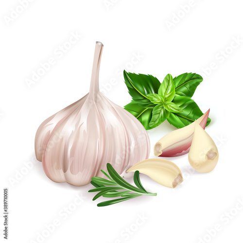 Realistic Detailed 3d Garlic, Rosemary and Basil Set. Vector