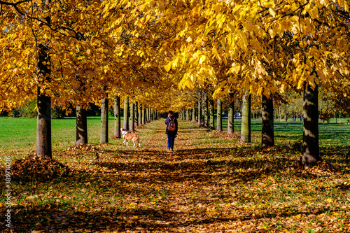 Paesaggio autunnale photo