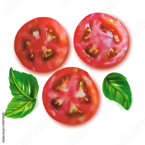 Realistic Detailed 3d Slice Tomato and Basil Leaves Set. Vector