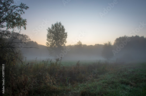 The first light of the morning and the mist rising over a withered meadow. An early autmnal morning in Kampinos National Park, Warsaw, Poland. The silhouettes of the trees are blurry due to thick fog.