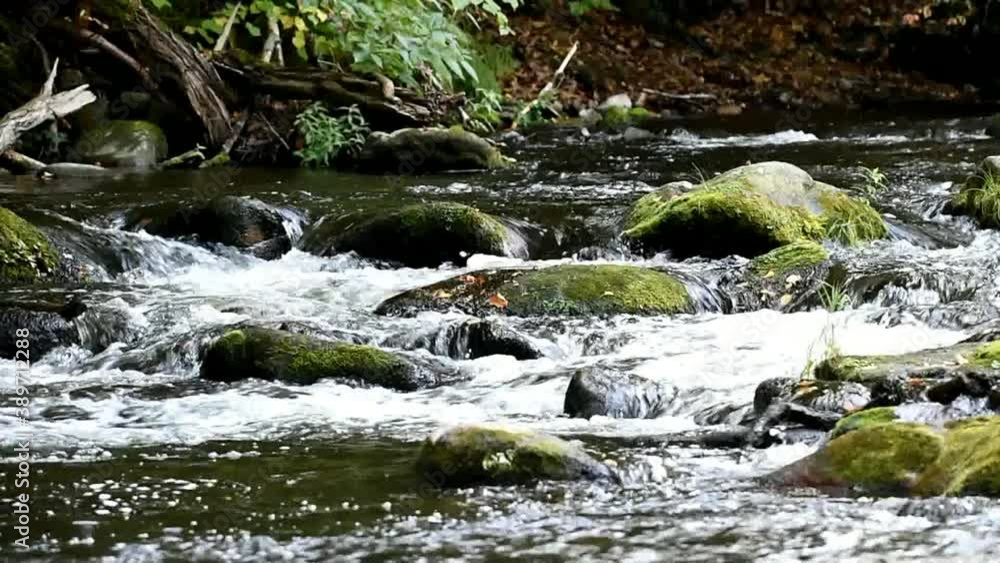 Warme Bode im Harz Warme Bode im Harz