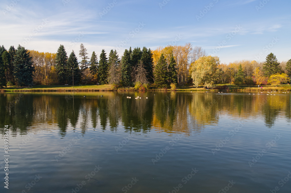 Autumn Season at a Pond