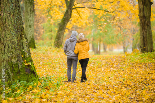 Young adult couple walking together on yellow fallen leaves in forest. Golden autumn day. Romantic lovely moment. Peaceful atmosphere. Dating concept. Back view.