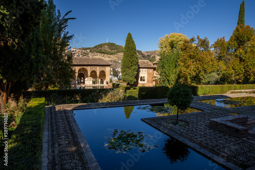 Detail of the royal palace Nazaries of the Alhambra, Granada, Andalucia, Spain	 photo