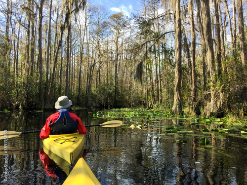 A couple in kayaks paddling through the great blackwater swamp at Okefenokee national wildlife refuge near Folson, Georgia USA.