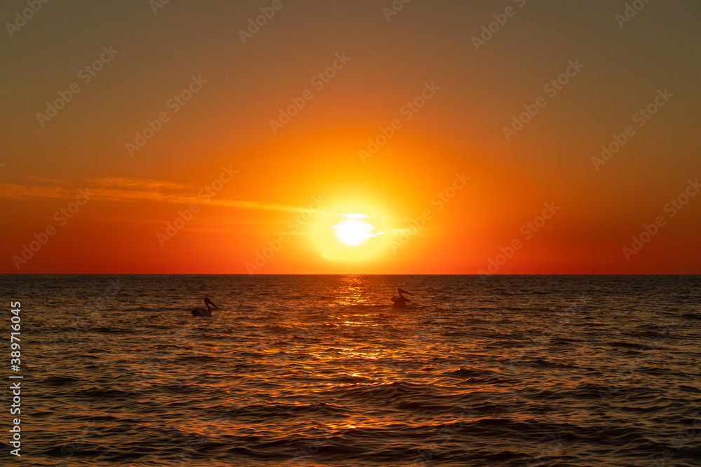 sunset on the sea with pelicans in shadows sunset on the sea with pelicans in shadows