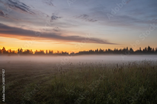 Fog covers the field at sunset © Vitaly