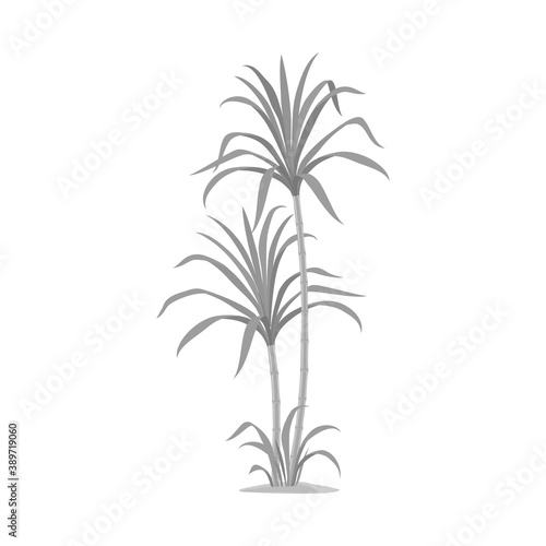 Vector illustration of palm and cane symbol. Web element of palm and field stock symbol for web.