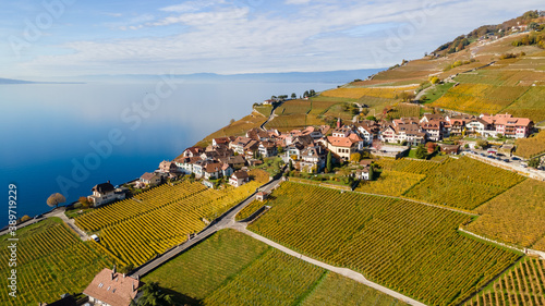 Foto Legends of the fall in Lavaux, Switzerland.