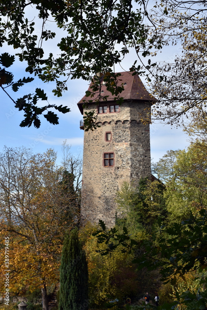 Burg Sponeck im Kaiserstuhl bei Sasbach
