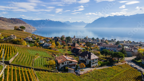 Legends of the fall in Lavaux, Switzerland.