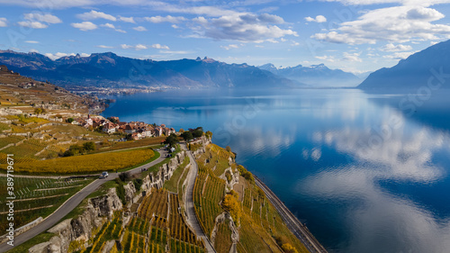 Legends of the fall in Lavaux, Switzerland.