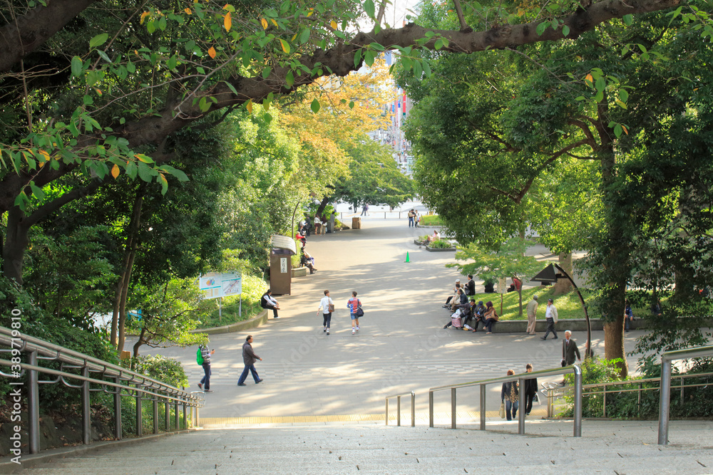 Obraz premium 上野公園明治初期の階段