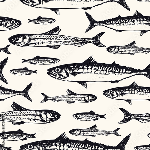 Seamless pattern with ocean and sea fishes in sketchy style. Vector illustration of handdrawn mackerel, tuna, and capelin in vintage style. Background for wrapping paper, decoration, textile
