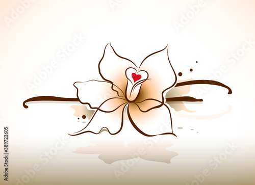 Hand drawn vanilla orchid flower - vector