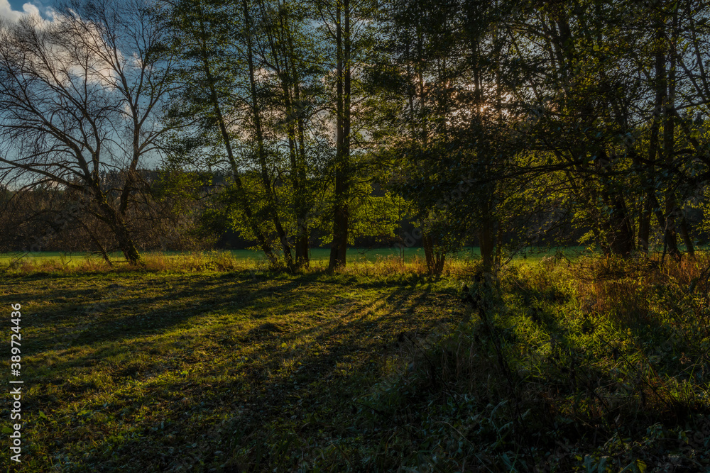 Utersky creek with color trees and meadow near Utery town in autumn evening Utersky creek with color trees and meadow near Utery town in autumn evening