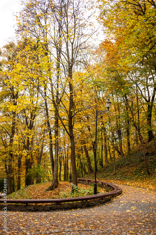 Obraz premium Beautiful autumn park in the city