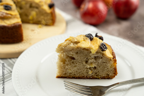 Slice of apple cinnamon cake or bread with dried cranberries
