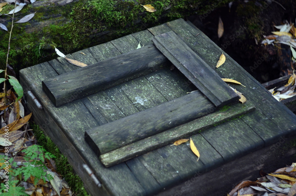 Fototapeta premium Wooden cover of the well in the grove