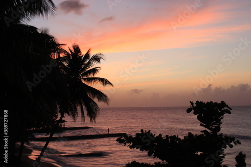 Fototapeta Naklejka Na Ścianę i Meble -  Coucher de soleil à Tobago (Trinidad et Tobago, caraîbe anglophone)