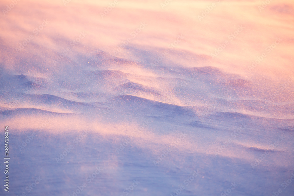 Surface of snow with blizzard on cold winter morning during sunrise in Finnish nature	