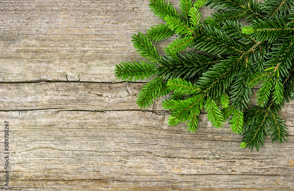 Pine tree branches rustic wooden background Pine tree branches rustic wooden background