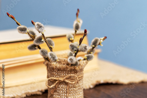 Bouquet of flowering willow twigs near books in the room