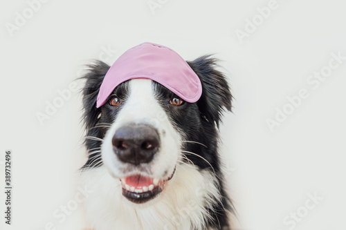 Do not disturb me  let me sleep. Funny cute smiling puppy dog border collie with sleeping eye mask isolated on white background. Rest  good night  siesta  insomnia  relaxation  tired  travel concept.