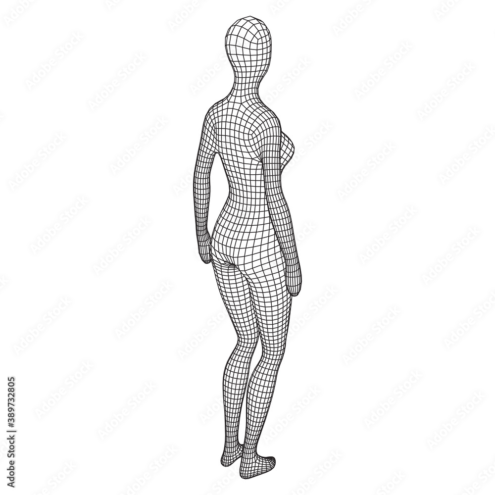 Obraz premium Female or woman anatomy. Body biology medicine education concept.
