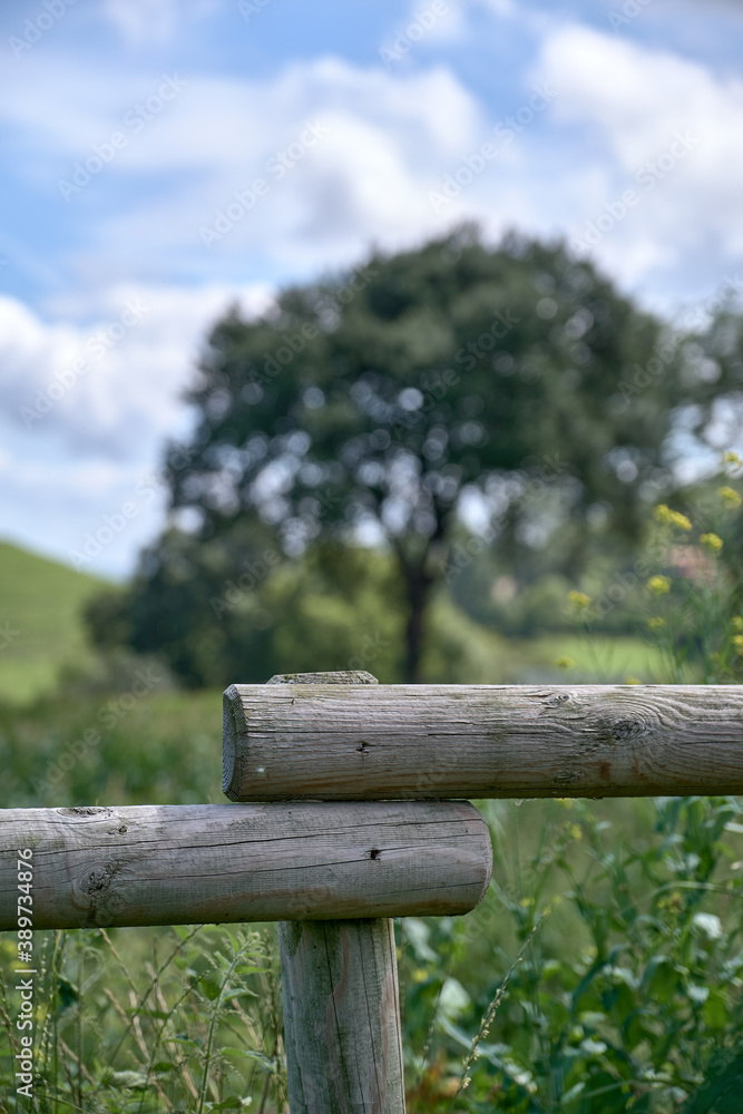 wooden fence in the field with some defocused trees in the background wooden fence in the field with some defocused trees in the background