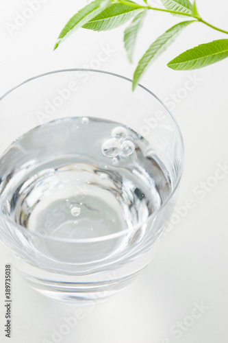 グラスに入った水と葉