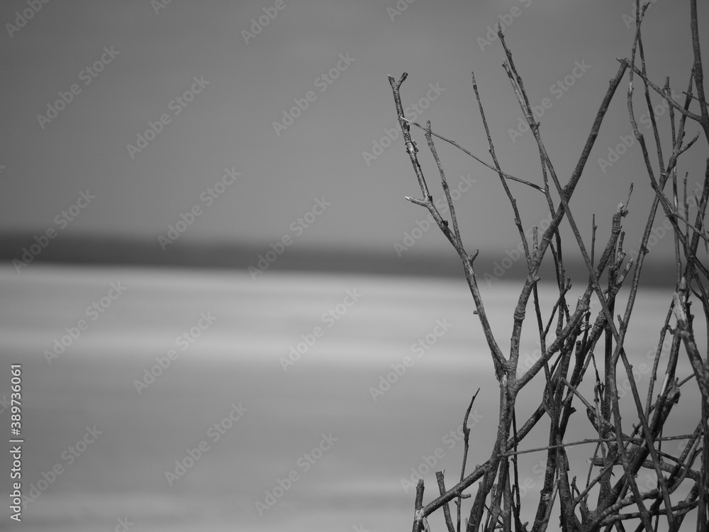 Fototapeta premium nah am Strand