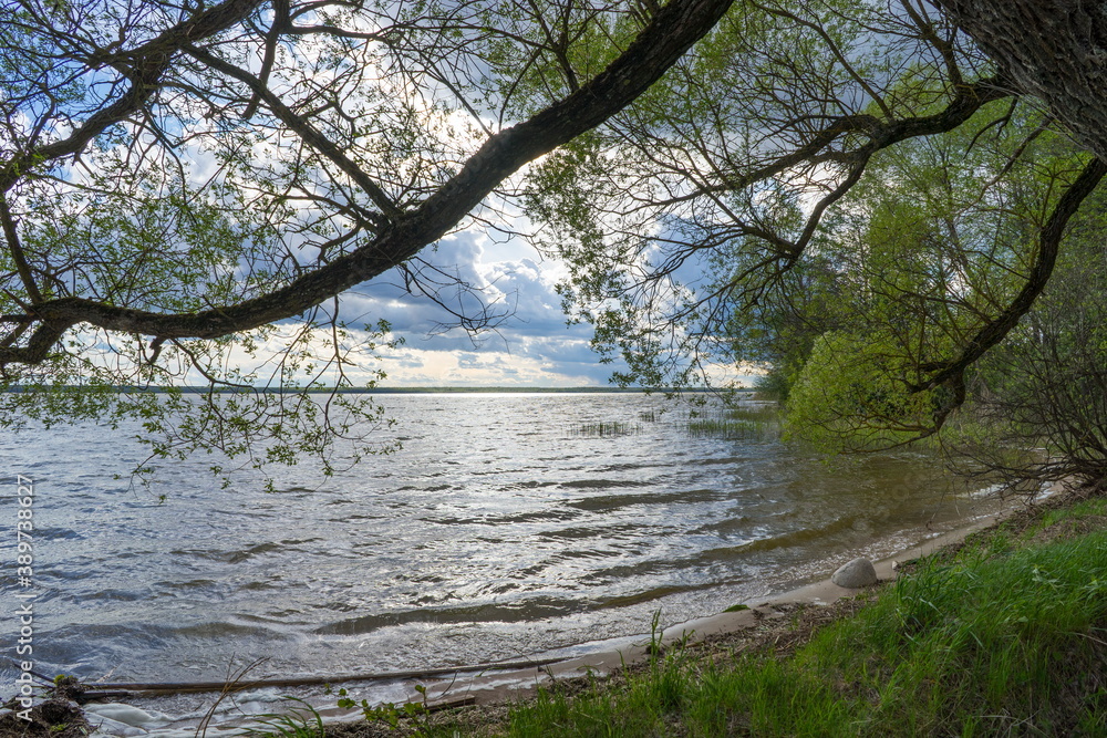 Lake Bolshie Shvakshty near Naroch in Republic of Belarus Lake Bolshie Shvakshty near Naroch in Republic of Belarus