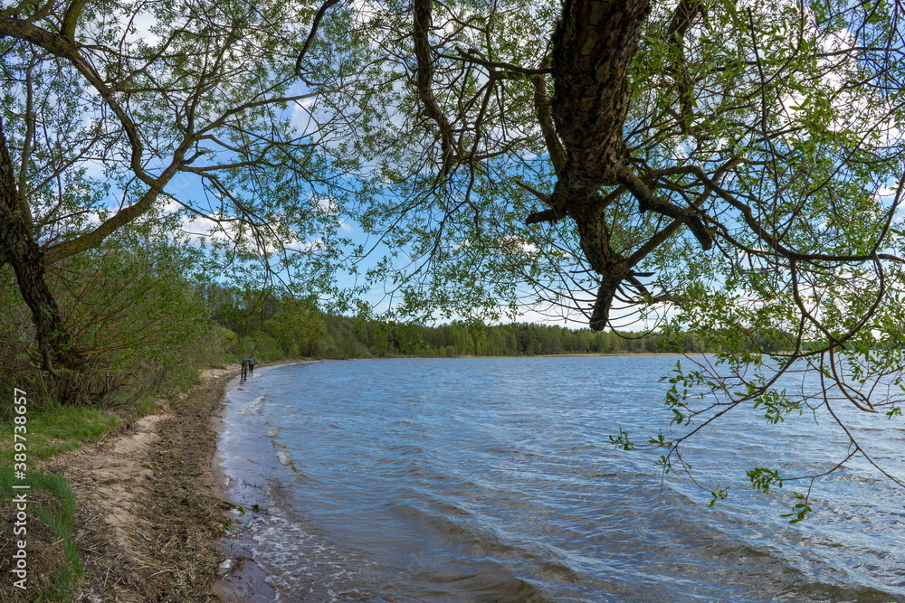Lake Bolshie Shvakshty near Naroch in Republic of Belarus Lake Bolshie Shvakshty near Naroch in Republic of Belarus