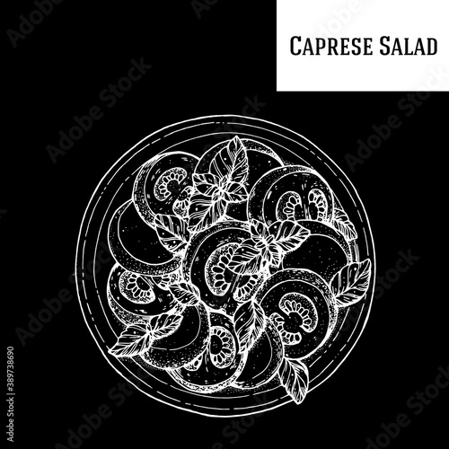 Caprese salad vector illustration. Italian cuisine. Hand drawn sketch illustration. Italian food. Top view.
