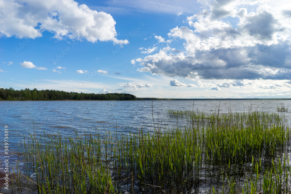 Lake Bolshie Shvakshty near Naroch in Republic of Belarus