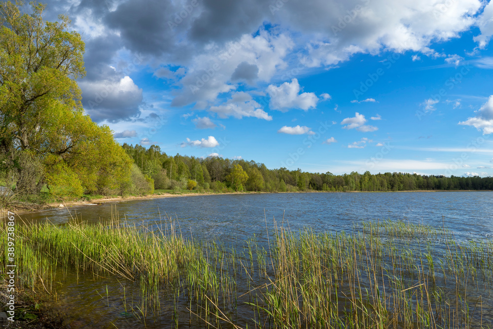 Lake Bolshie Shvakshty near Naroch in Republic of Belarus