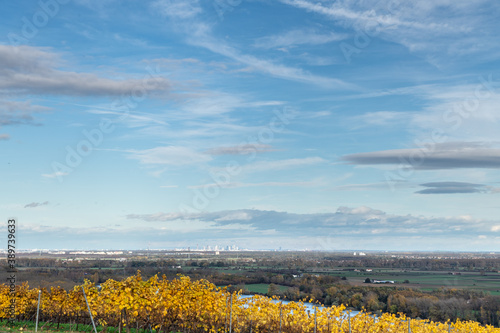 Blick von Weinbergen in Rheinhessen mit Frankfurts Skyline am Horizont photo