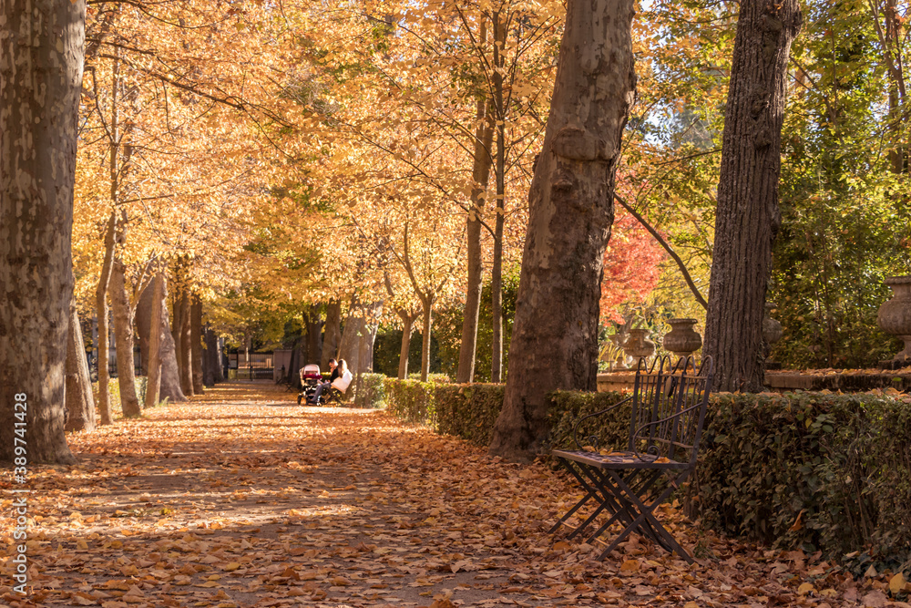 Pareja con hijo en carrito en parque en otoño Aranjuez, Madrid