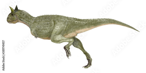 カルノタウルス。肉食の牛。白亜紀後期南米大陸に生息した大型の肉食恐竜。大型だが比較的軽量であり、後肢は発達しており、小回りは効かないが同時期に生息した北米大陸のティラノサウルスに比べより早く走って獲物を捕獲できた。前肢はティラノサウルスよりもさらに退化して小さい。腰部から尾にかけての筋肉は生物史上最大。尾の力は強靭であったと推定される。アベリサウルス類。目の上に大きな角がある。 © Mineo